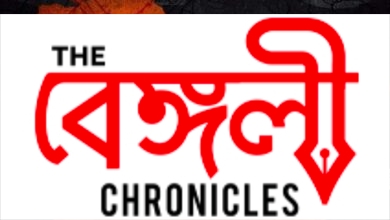 kashmir files
