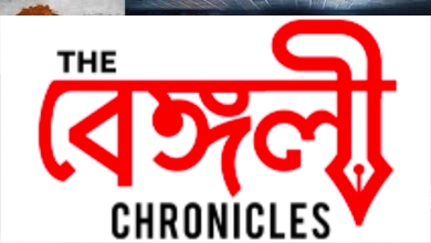 kashmir files