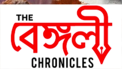 the kashmir files