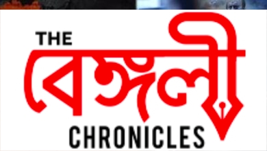 the kashmir files