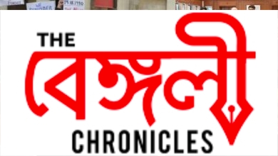 the kashmir files