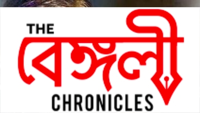kashmiri files 2