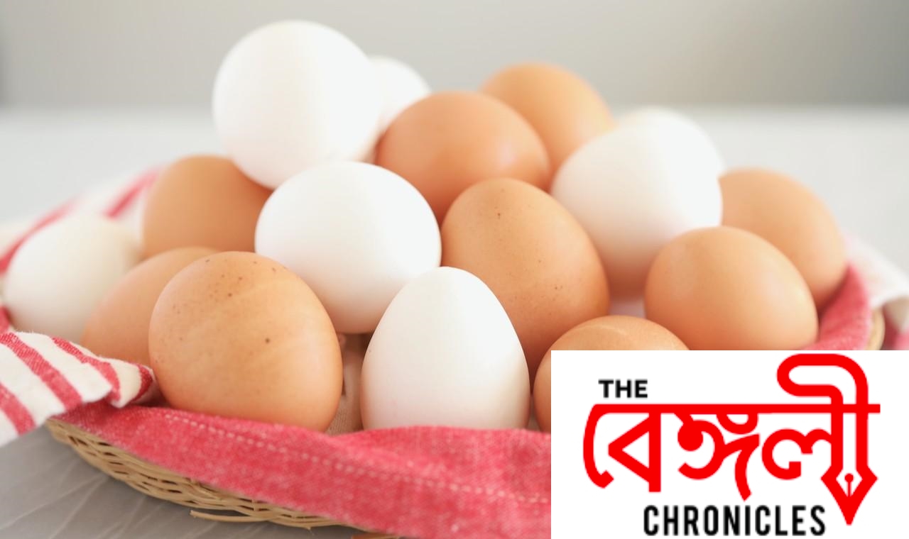 egg 2