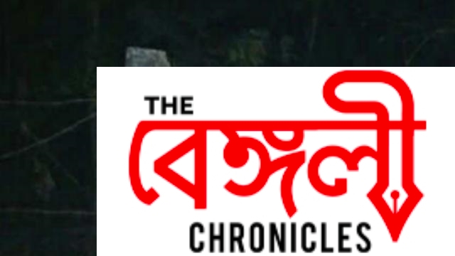 North Bengal University