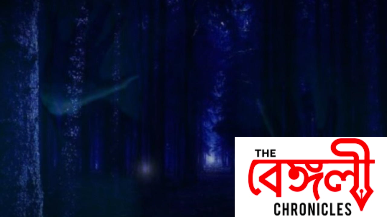Sundarban Haunted Aleya