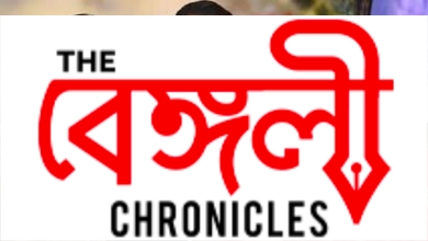 saif 8