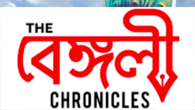 durga puja