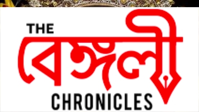 durga puja 4