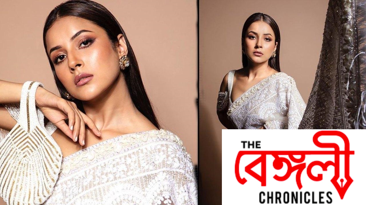 shehnaaz 8