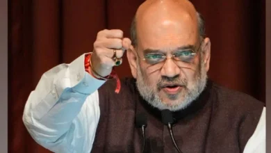 Amit Shah,Capital Punishment,Mob Lynch,Gang Rape,Central Govt