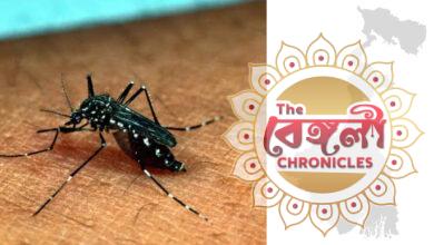 Mamata Banerjee West Bengal Legislative Assembly,dengue