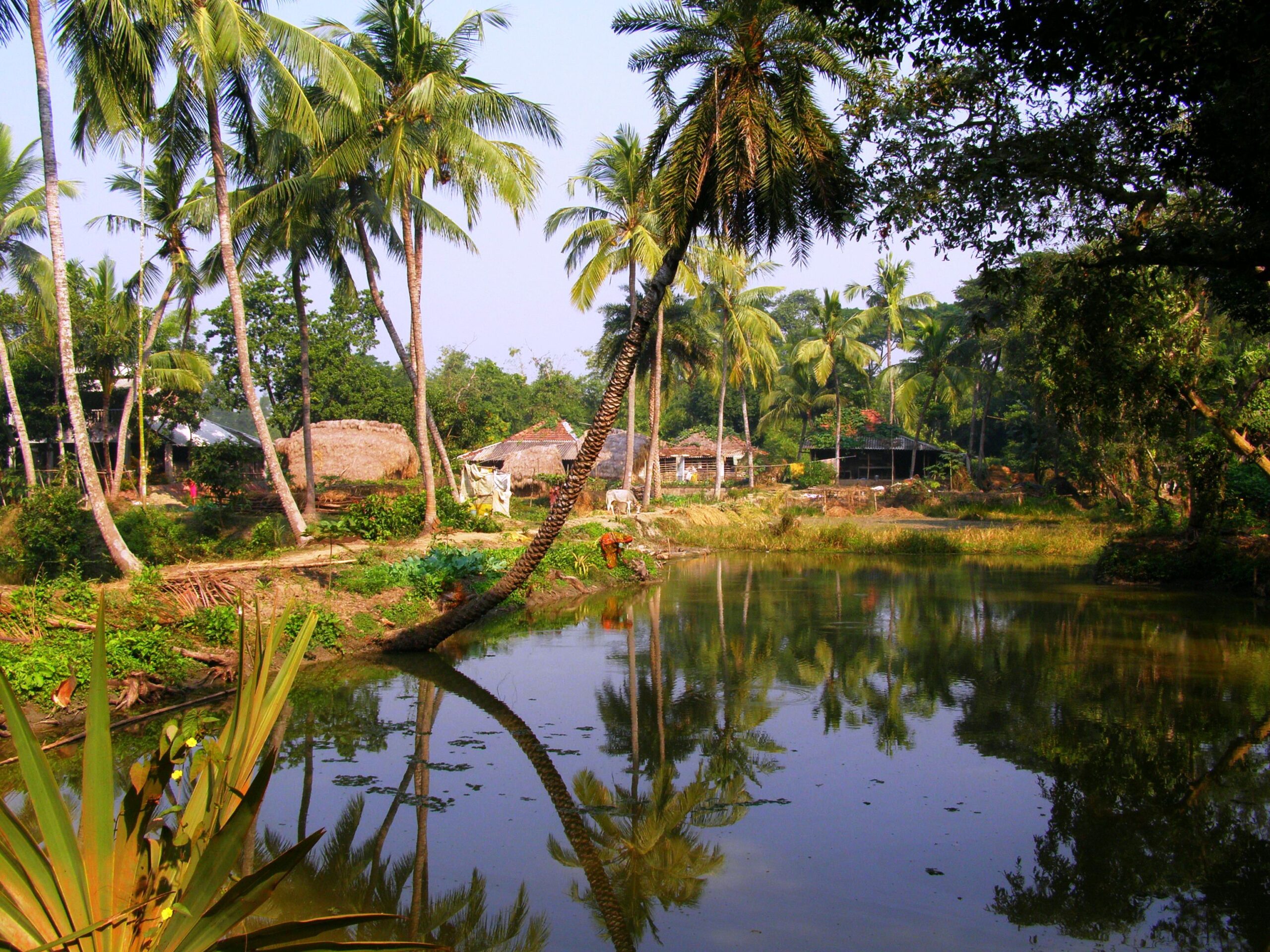 Top10,Breaking News,Bengali News,West Bengal,India,World