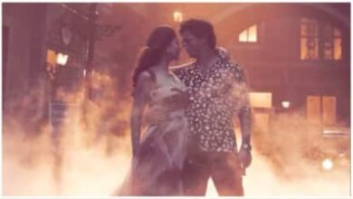 Chaleya,Jawan,Shahrukh Khan,Nayanthara,romance,Arijit Singh