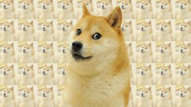 social media’s viral dog,cancer,social media memes