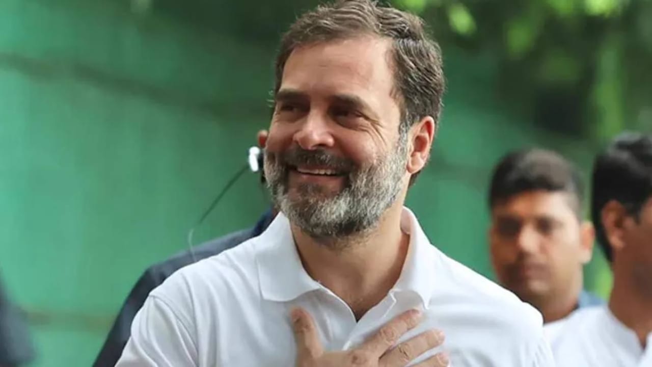INDIA alliance,Congress,Ashok Gehlot,Lok Sabha Election 2024,Rahul Gandhi