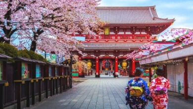 World,World map,Country,Japan,Japanese,Culture,Social rule