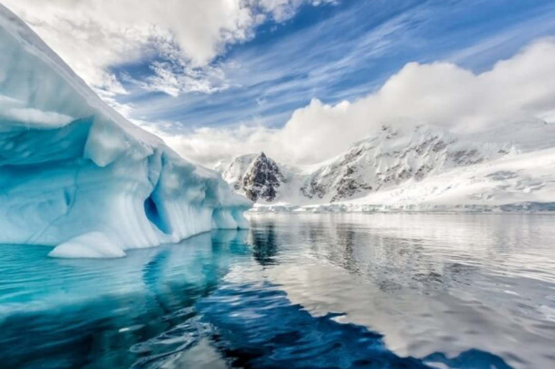 World,Tempareture Change,Global warming,Penguins,Global warming effects