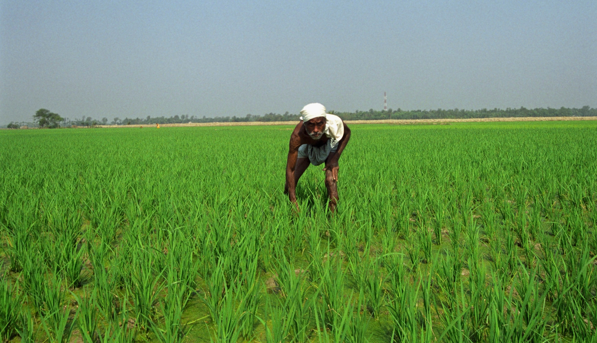 PM Kishan Samman Nidhi Yojana,Farmer
