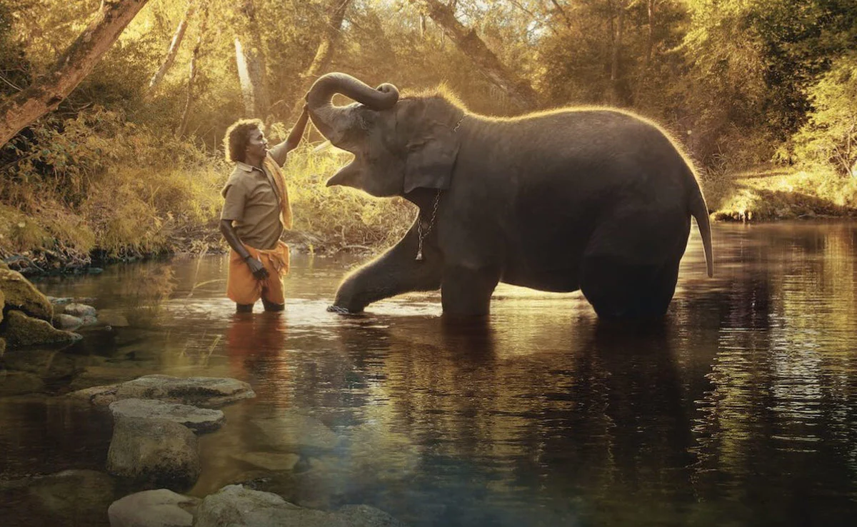 Language,Elephants,Name