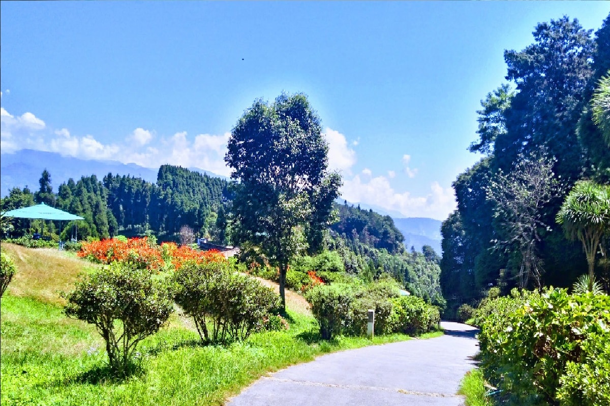 Offbeat destination,Travel,Rikisum,Kalimpong.