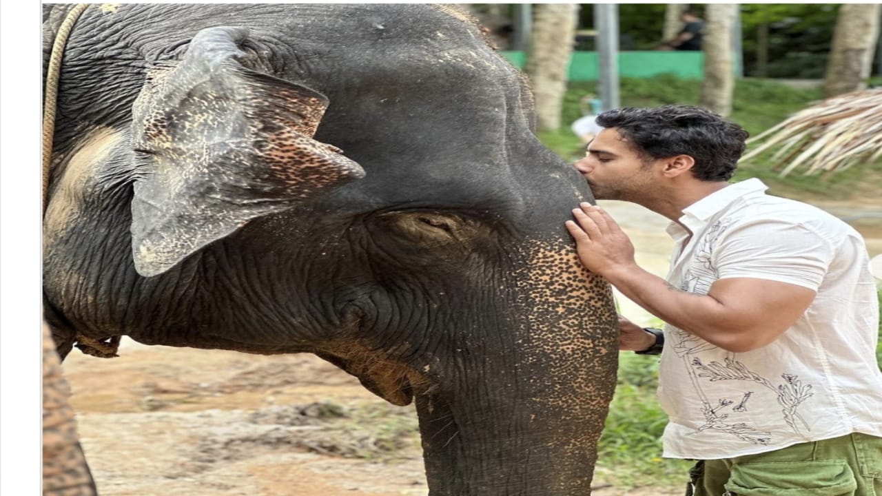 Yash Dasgupta,Nusrat Jahan,ED,elephant.