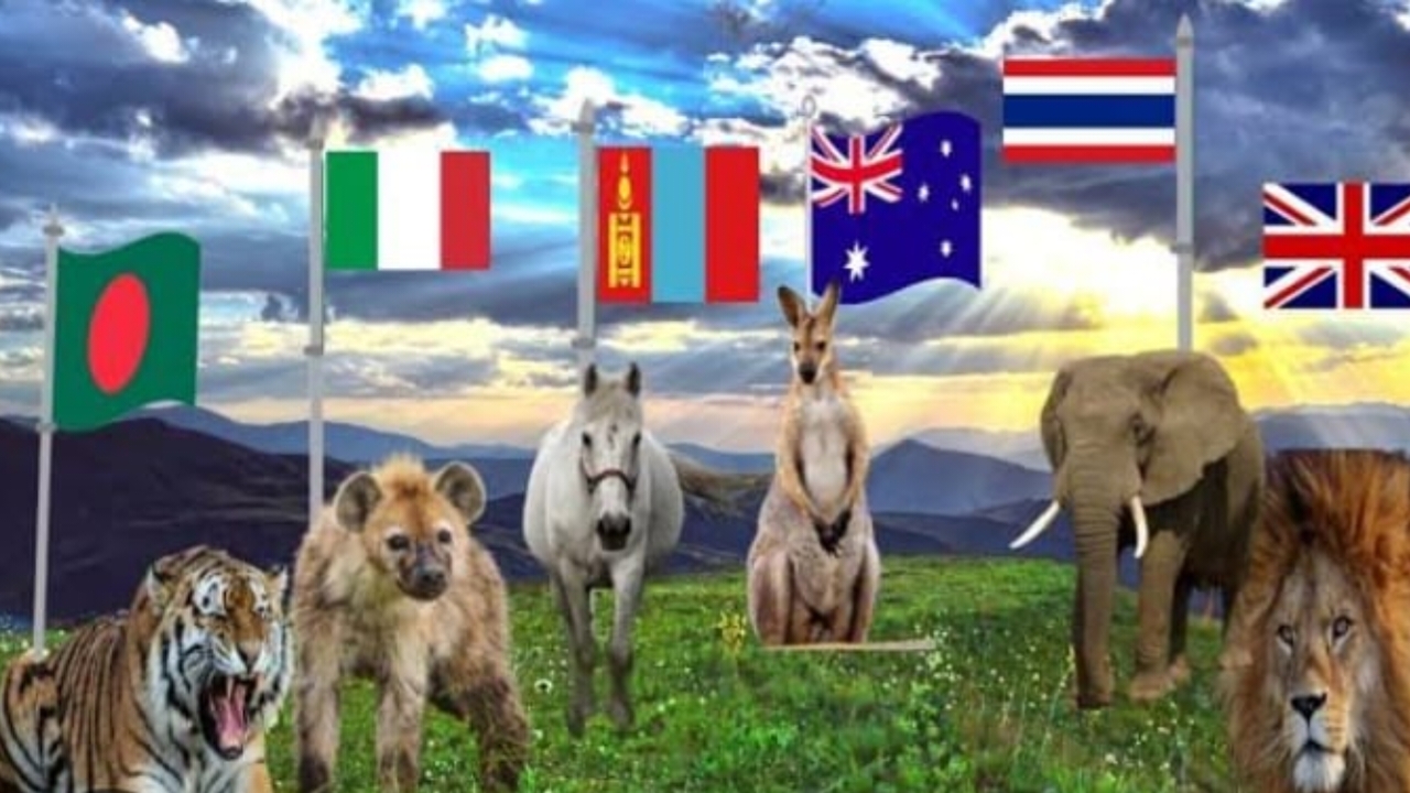 Animal,India,Nation,National animal of the country
