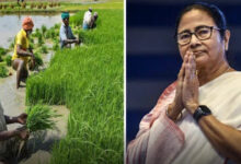 WB,TMC,BJP,Farmer