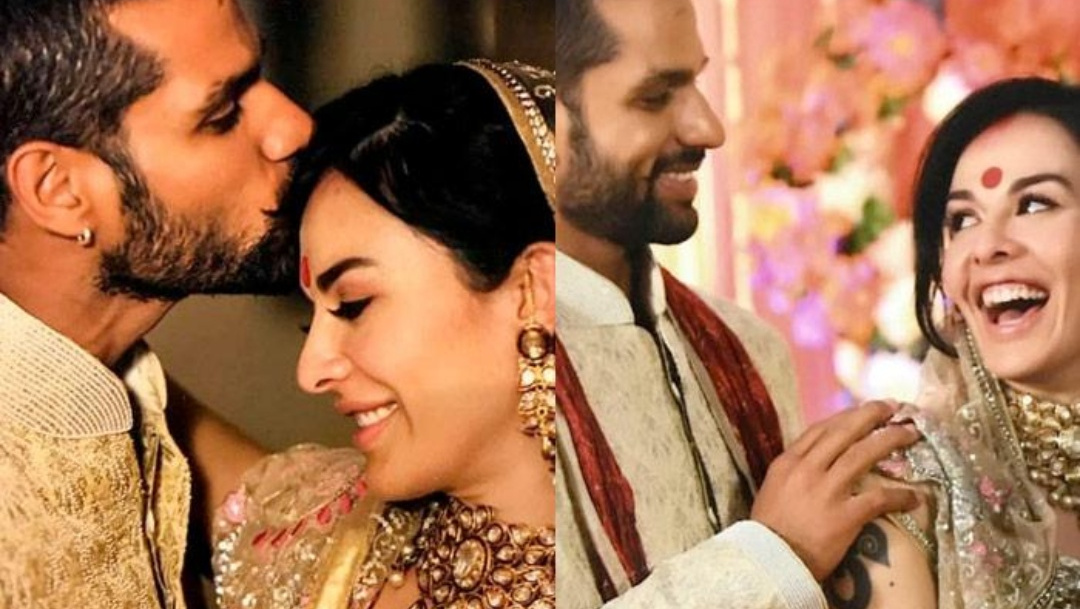 India,Cricketer,Indian Cricket Team,Sikhar Dhawan,Aesha Mukerji,Divorce