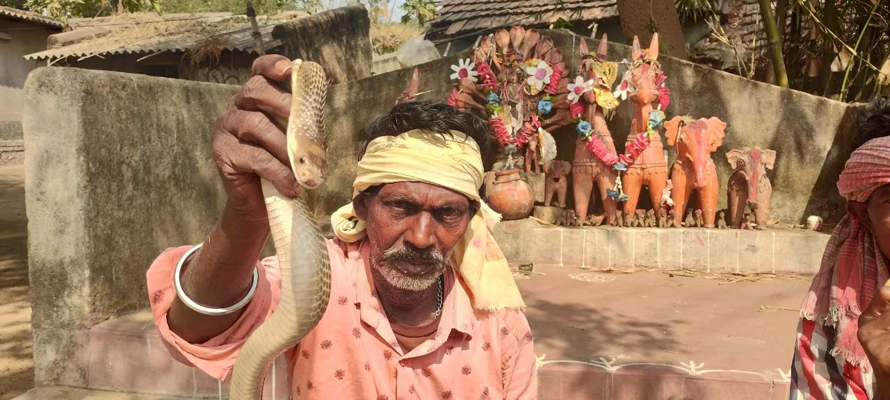 Bankura News,snake village of bankura,photo gallery,west bengal snake village,bankura